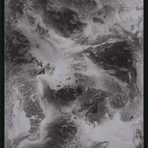 Jeff Vermeeren "Dark Pepper" (2023) Original